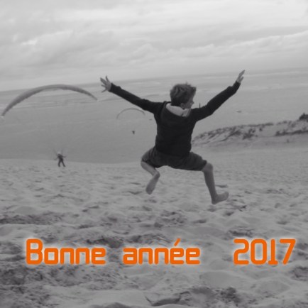 bonne-annee-2017
